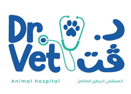 DrVet Animal Hospital